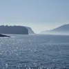 roccoerrico1