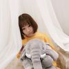 huihui982tp