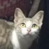 fa.fa.fa.fa.fa