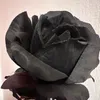 adadadamici58