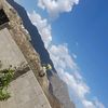 alalmaee0