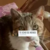missi8544