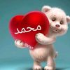 mamt.medoo6