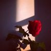 amahnoor333