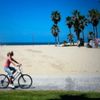 venicebeachbungalows