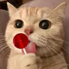 kekeh2419