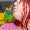 beccatodd9