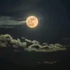 fullmoon_29