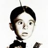 alfalfa._1