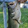 cgbfishing