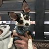 mikeier1