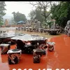 dacanh_haidang