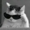 xiarodetemu_2