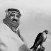 turki_k11