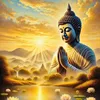 🪷Pháp Tuệ Tâm🪷