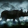 rhino779