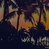 miss_fijianan