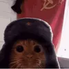 Eloq
