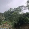 laperrww