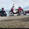 diaotomotif