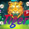 tigermirzo