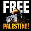 mohamedfoda772