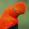 _lolleyj_