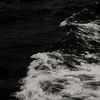 bllss_88