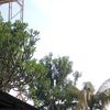 darennugraha_