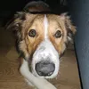 cooper.borderdu22