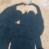 oo.jh1ashh