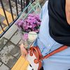 amalia4833