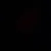 amel_y1z
