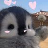 kniaqq12