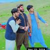 m.zubairhaleem0
