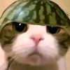 ullumpkl