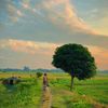 travelness guy