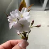 8646308790nguyen