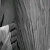 alexchihaia40