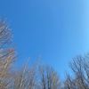 summersky_2