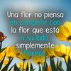 helenapintobernal