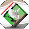 user60317705608488