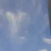 eusaaradejesus