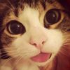 wansix_