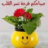 user6619135362804