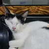 soreeyes45