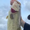 kevo_6982