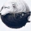 whitefang1093