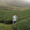 tungnguyentien310