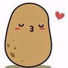 mr.potaton1219